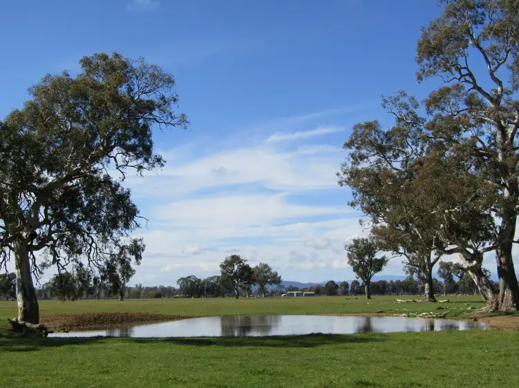 Main view of Homely rural property listing, 00 Banksdale Road, Greta VIC 3675
