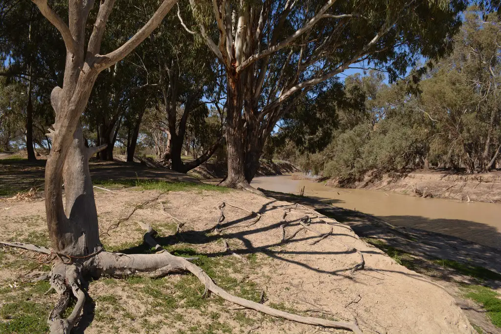 Main view of Homely rural property listing, Lots 3, 4, 45, 46, 6 Pooncarie Menindee Road, Pooncarie NSW 2648