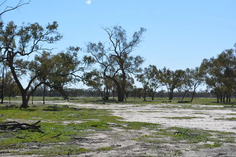 Sixth view of Homely rural property listing, Lots 3, 4, 45, 46, 6 Pooncarie Menindee Road, Pooncarie NSW 2648