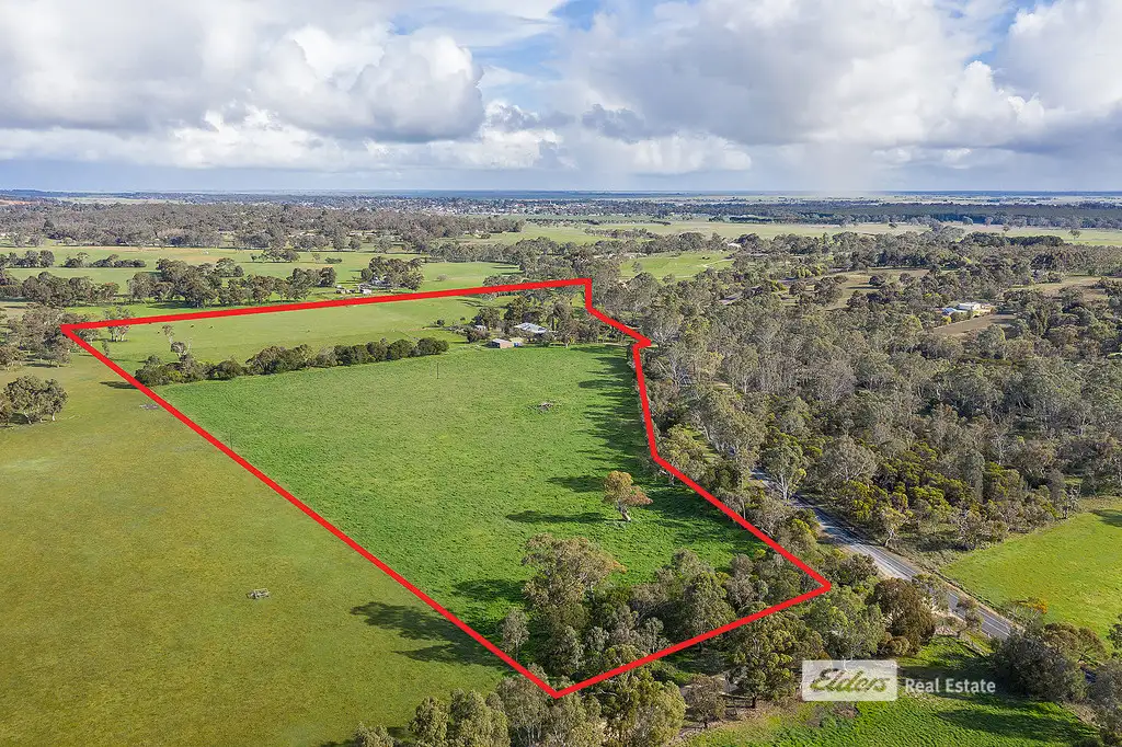 Main view of Homely rural property listing, 382 CADGEE ROAD, Naracoorte SA 5271