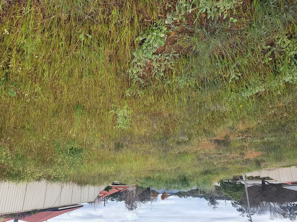 Main view of Homely land listing, 7 YATE STREET, Manjimup WA 6258