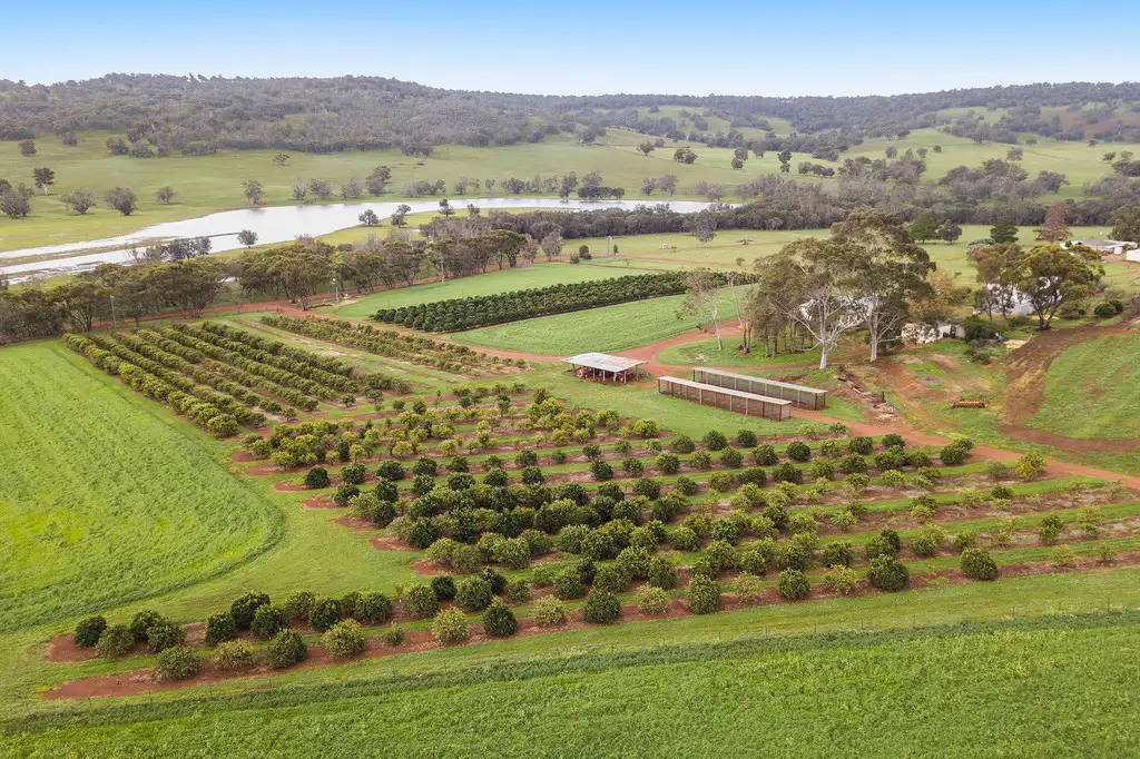 Main view of Homely house listing, 124 Toy Road, Bindoon WA 6502