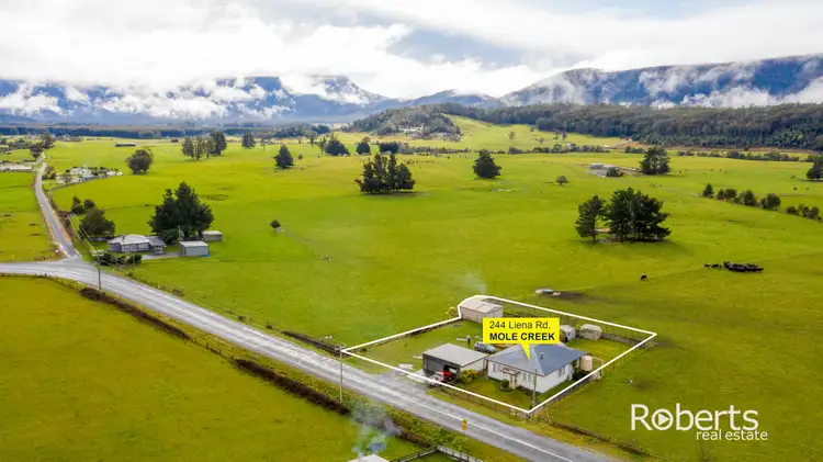 Main view of Homely house listing, 244 Liena Road, Mole Creek TAS 7304