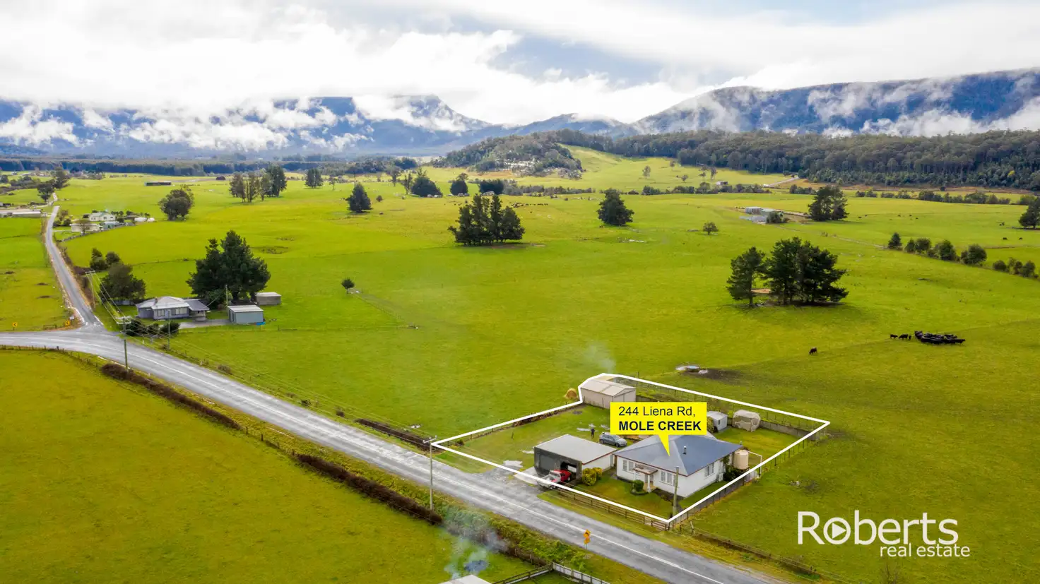 Main view of Homely house listing, 244 Liena Road, Mole Creek TAS 7304