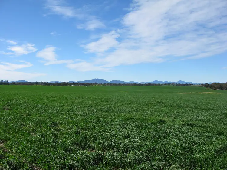 Multi Lots Halsey Road, Mount Barker WA 6324