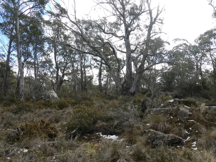 Second view of Homely land listing, Lot 60,67 Jones Road, Miena TAS 7030
