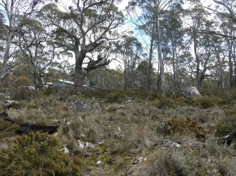 Sixth view of Homely land listing, Lot 60,67 Jones Road, Miena TAS 7030