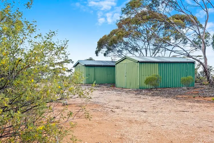 Main view of Homely land listing, 38 Petters Road, Morgan SA 5320