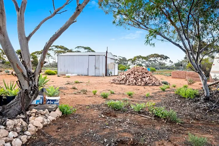 Second view of Homely land listing, 38 Petters Road, Morgan SA 5320