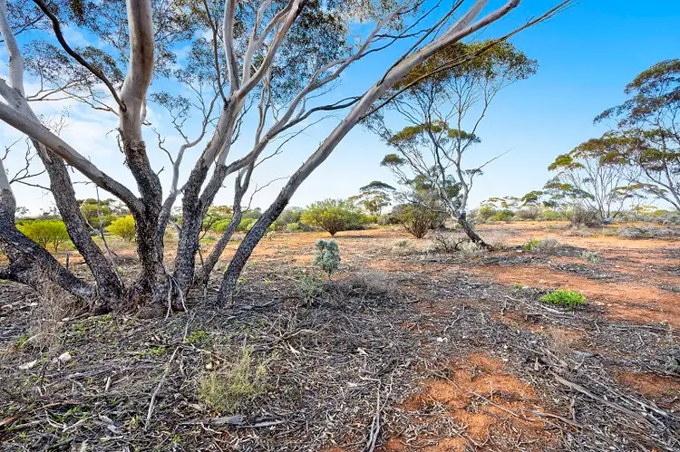 Fourth view of Homely land listing, 38 Petters Road, Morgan SA 5320
