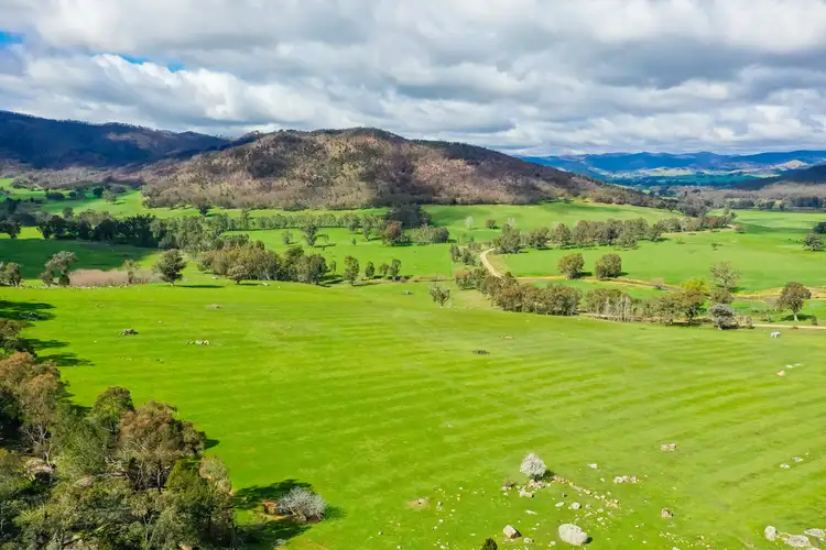 Seventh view of Homely rural property listing, 5655 River Road, Talmalmo NSW 2640