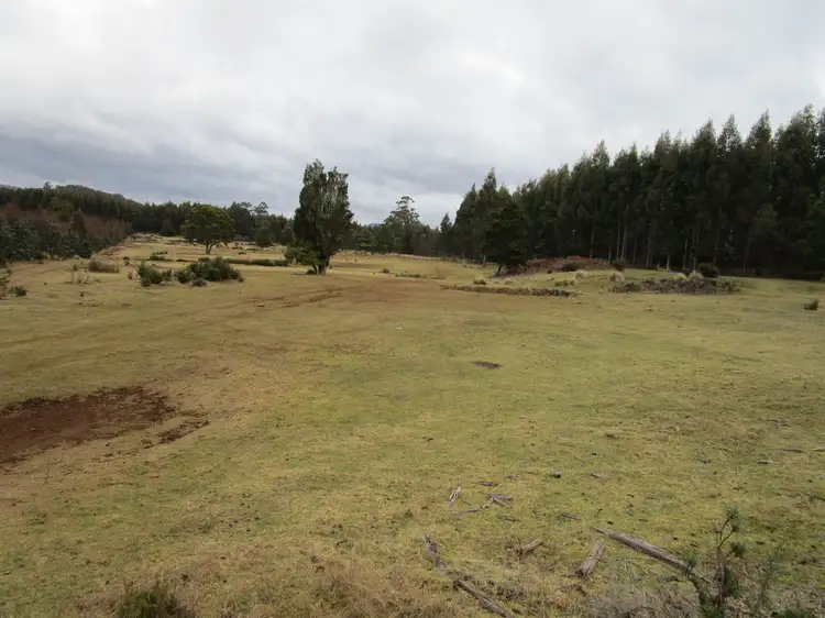 Main view of Homely rural property listing, - Kop Road, Erriba TAS 7310