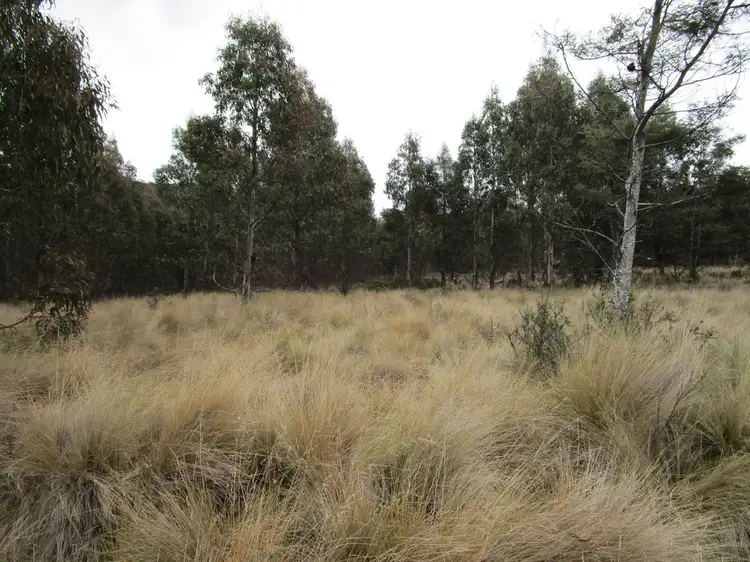 Fifth view of Homely rural property listing, - Kop Road, Erriba TAS 7310