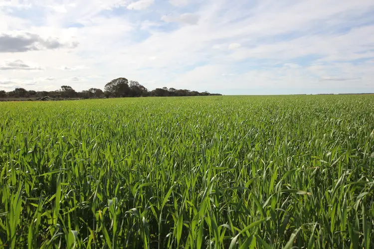 Second view of Homely rural property listing, 1953 Wogarl East Road, Cramphorne WA 6420