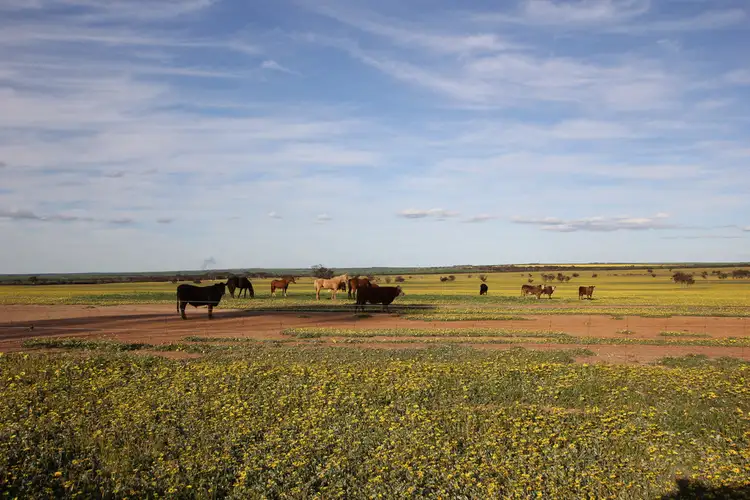 Fifth view of Homely rural property listing, 1953 Wogarl East Road, Cramphorne WA 6420