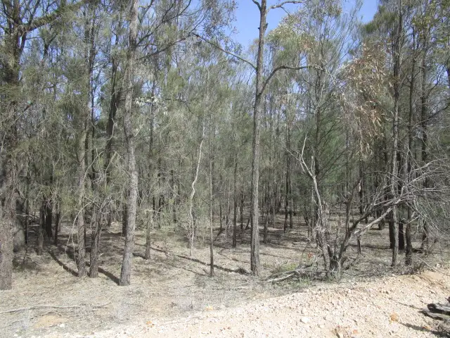 Main view of Homely rural property listing, 166 and 167 ROCKY CRESCENT, Tara QLD 4421