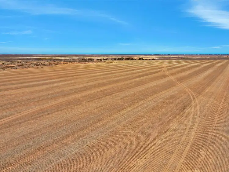 Third view of Homely rural property listing, Lots 295 & 296 Ruskin Road, Dublin SA 5501