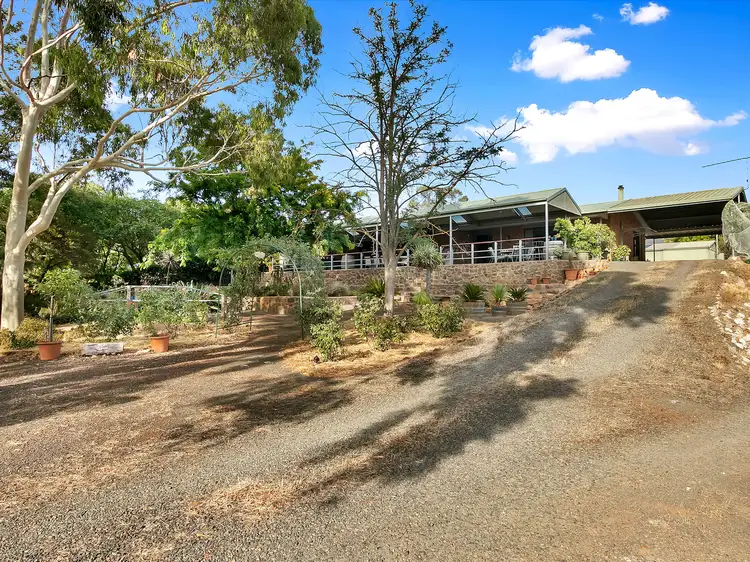 31 (Lot 10) Truro Road, Moculta SA 5353