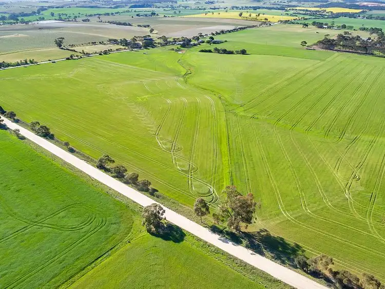 Fourth view of Homely rural property listing, 614 Lindsay Park Road, Angaston SA 5353