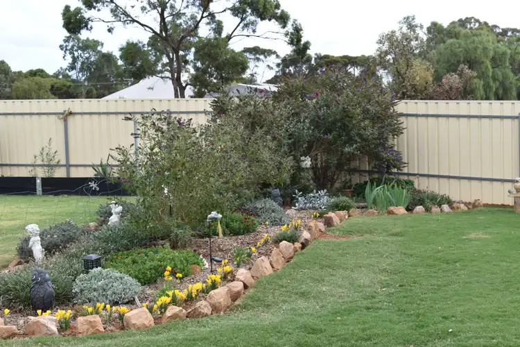 Sixth view of Homely house listing, 3 Davies Terrace, Spalding SA 5454