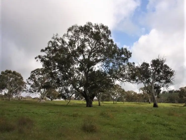 Lot 203 Petwood Road, Nairne SA 5252