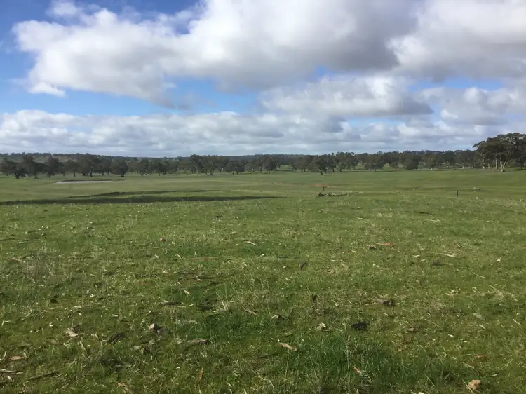 Fifth view of Homely land listing, Lots: 5 Henschke Road, Keyneton SA 5353