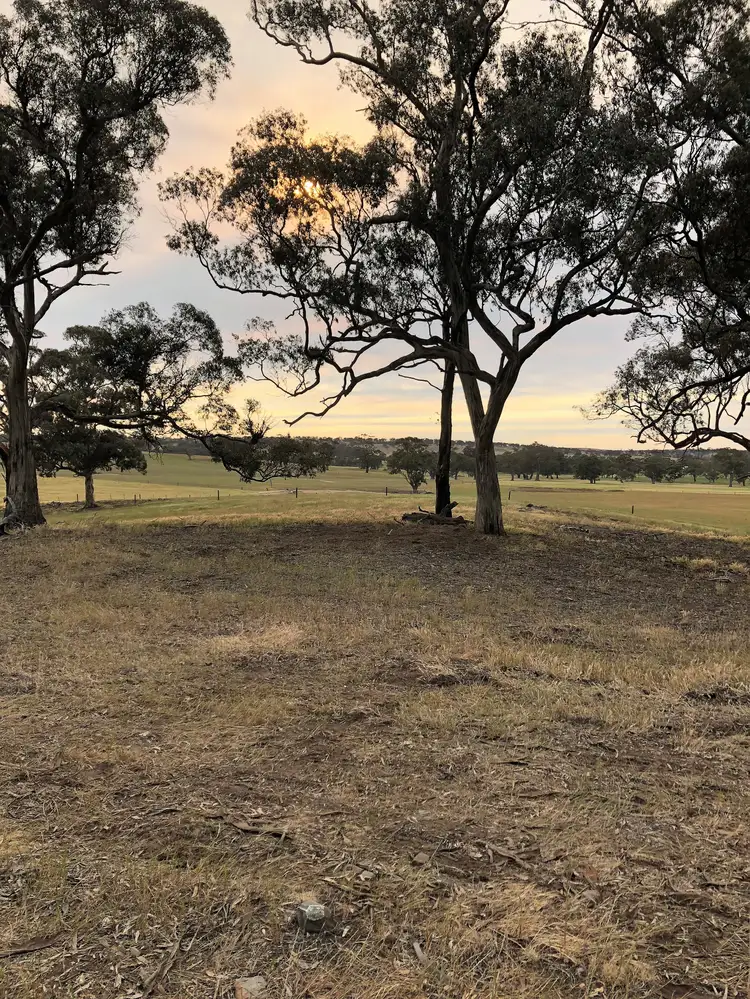 Seventh view of Homely land listing, Lots: 5 Henschke Road, Keyneton SA 5353