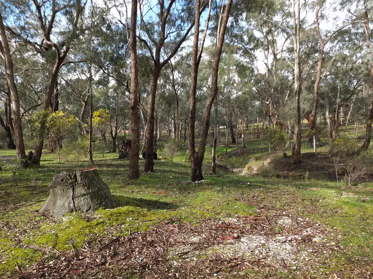 Second view of Homely land listing, 12 Boyce Street, Avoca VIC 3467