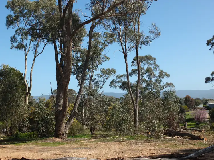Third view of Homely land listing, 12 Boyce Street, Avoca VIC 3467