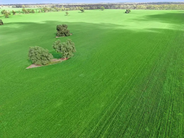 Fifth view of Homely rural property listing, 317 Fischers Road, Boree Creek NSW 2652