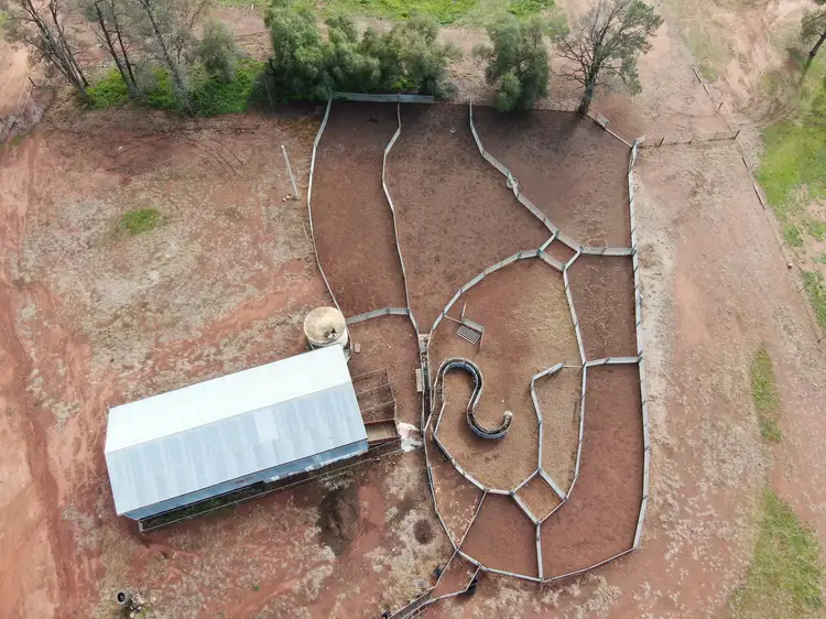 Seventh view of Homely rural property listing, 317 Fischers Road, Boree Creek NSW 2652