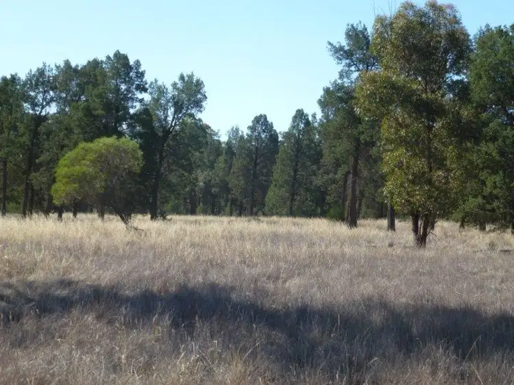 Fourth view of Homely rural property listing, KAKADU FOREST BLOCK, Jerilderie NSW 2716