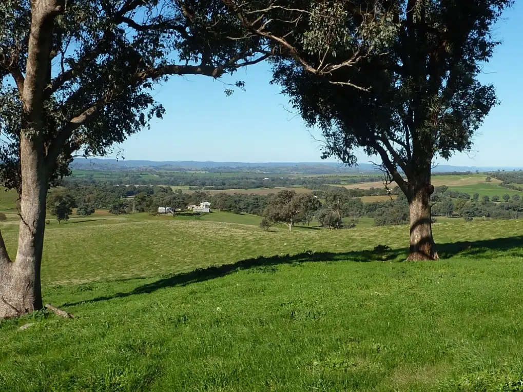 Main view of Homely rural property listing, 429 Coreinbob Siding Road, Ladysmith, Wagga Wagga NSW 2650