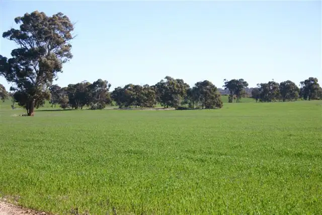 Main view of Homely rural property listing, 23843 Popanyinning West Road, Popanyinning WA 6309