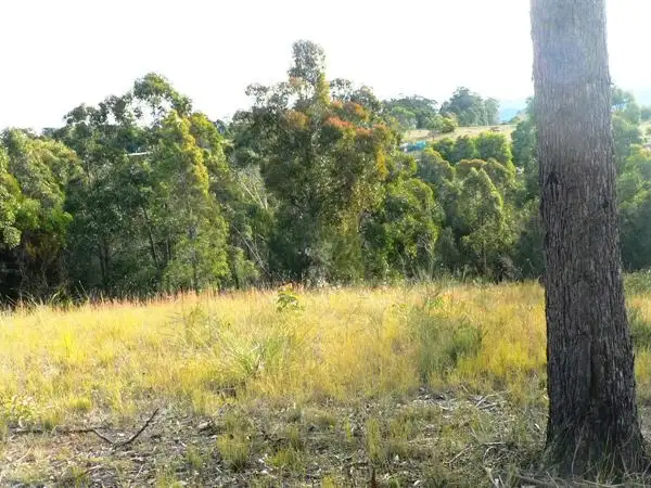 Main view of Homely land listing, 6 Bermagui-Cobargo Rd, Coolagolite NSW 2550