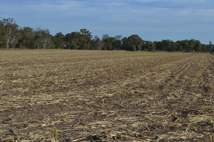 Seventh view of Homely rural property listing, Lot 12 Douglas Plainby Road, Douglas QLD 4354