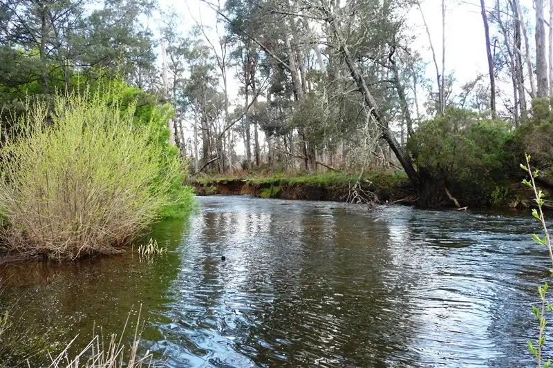 Main view of Homely rural property listing, 184 Patersonia Road, Nunamara TAS 7259
