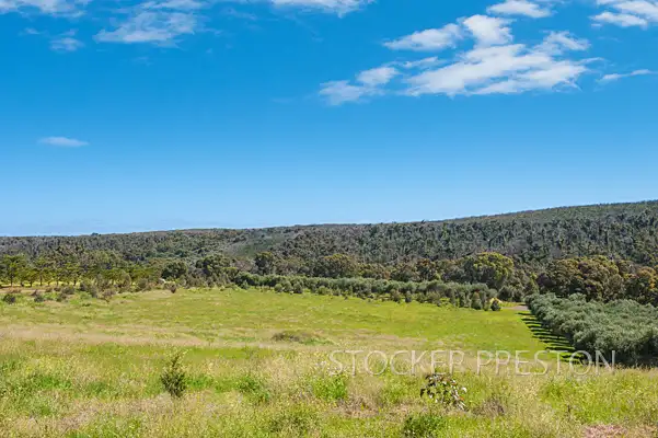 16/5962 Caves Road, Margaret River WA 6285