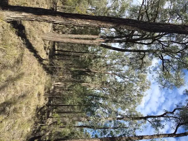 Fifth view of Homely rural property listing, Lot 75 WEST VALLEY ROAD, Tara QLD 4421