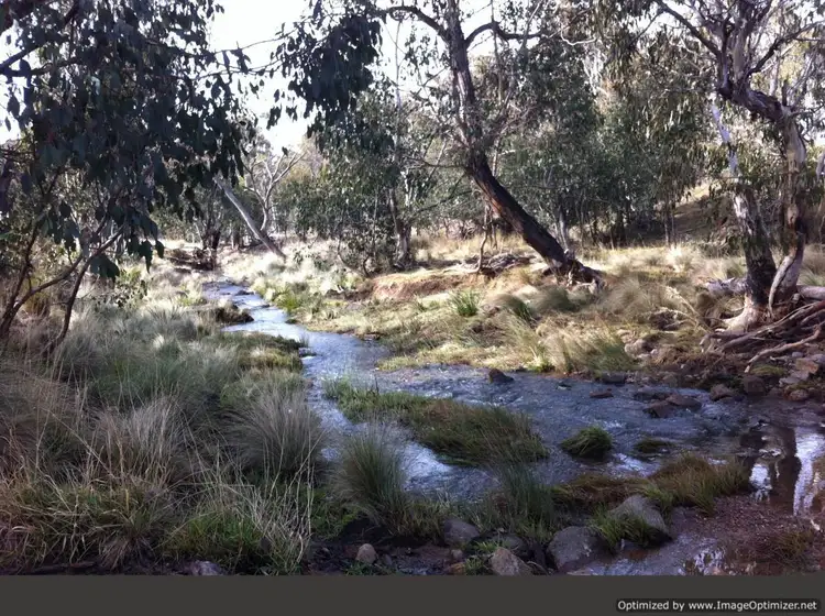 Second view of Homely rural property listing, 859 Snowy River Road, Wulgulmerang VIC 3885