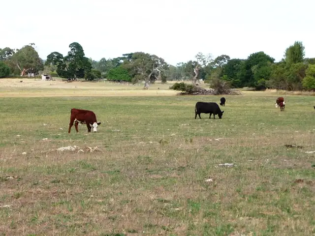 Third view of Homely rural property listing, lot 2&3 Medhurst rd, Glencoe SA 5291