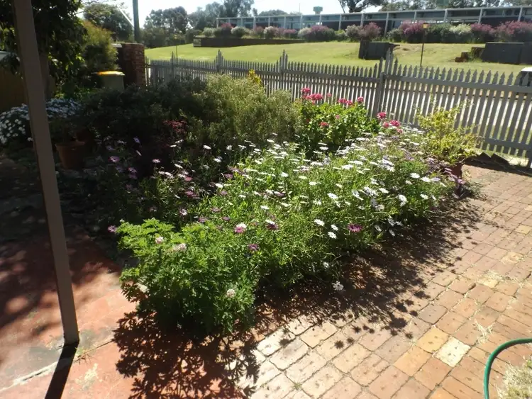 Sixth view of Homely house listing, 86 Reid St, Bassendean WA 6054