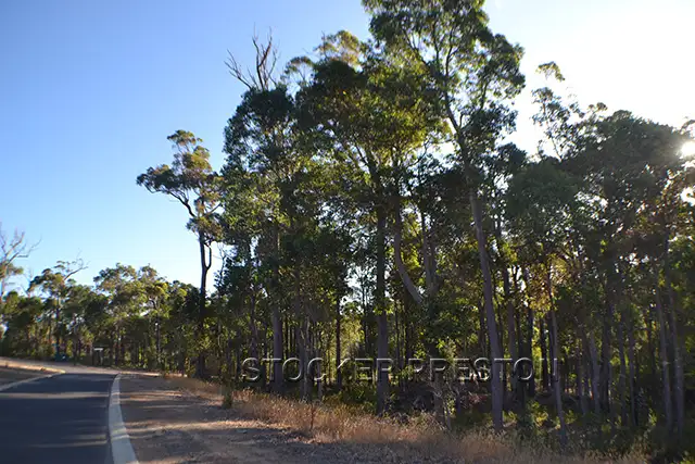 3 Timber Court, Cowaramup WA 6284