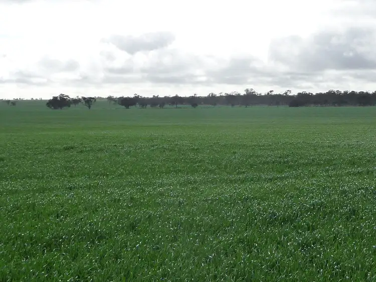# Dow Wells Road, Nhill VIC 3418