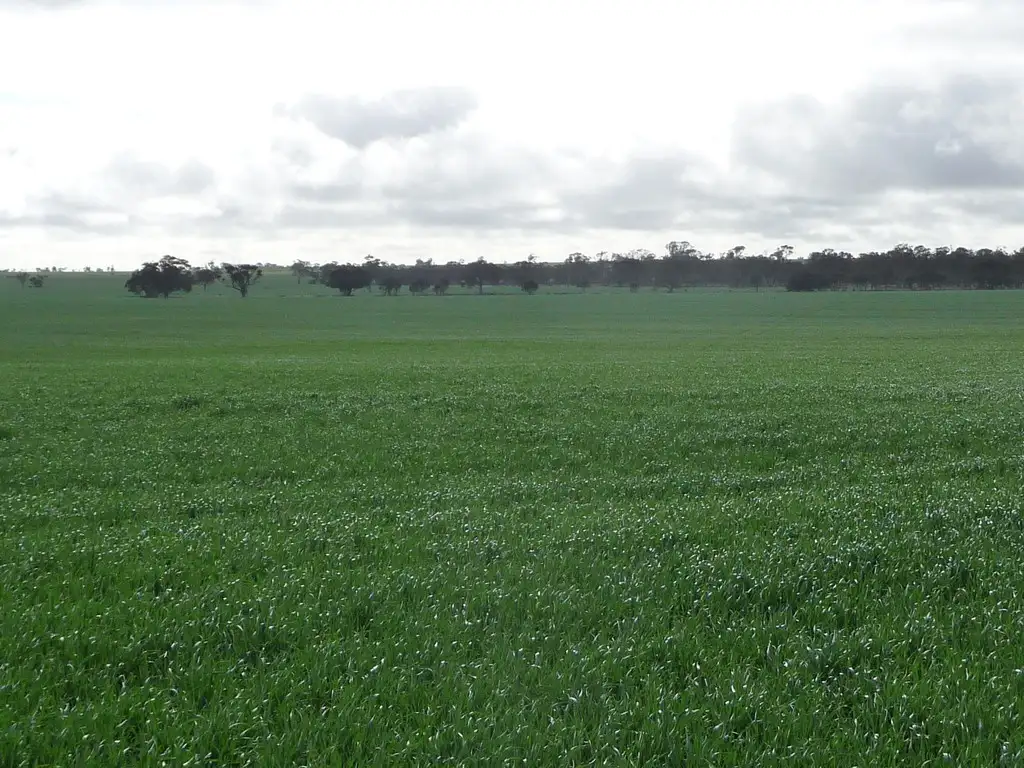 Main view of Homely rural property listing, # Dow Wells Road, Nhill VIC 3418