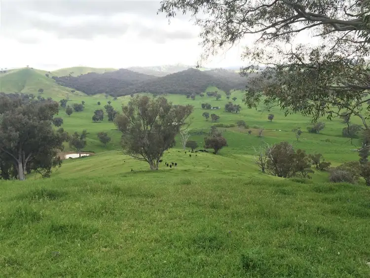 Third view of Homely rural property listing, 3938 Snowy Mountains Highway, Adelong NSW 2729