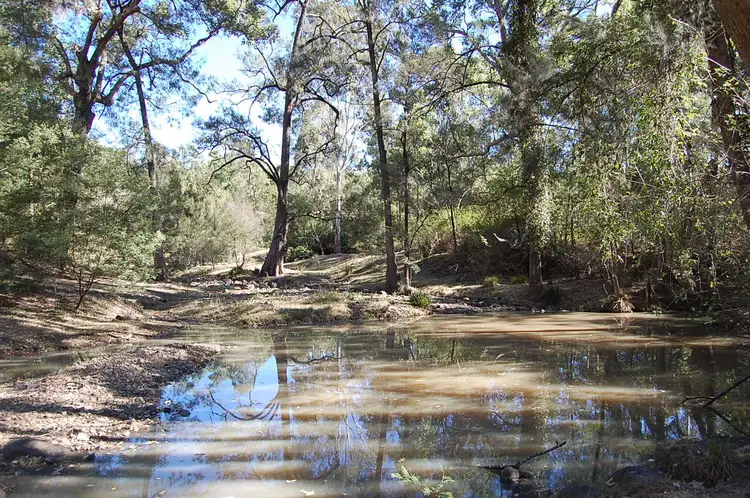 Main view of Homely rural property listing, 1221 Paddys Flat Road, Tabulam NSW 2469