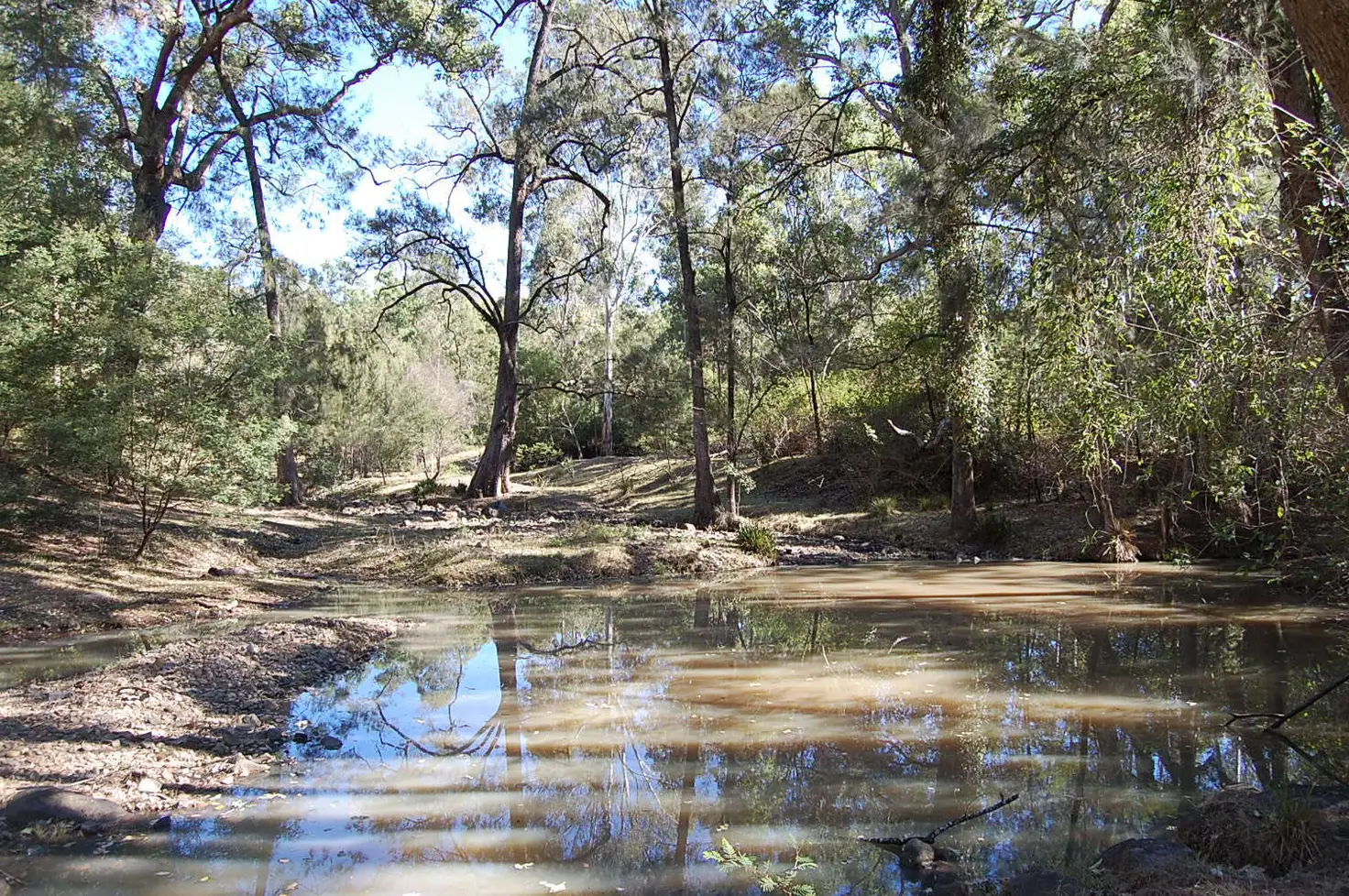 Main view of Homely rural property listing, 1221 Paddys Flat Road, Tabulam NSW 2469