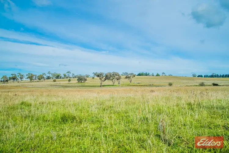 Seventh view of Homely rural property listing, 82 Burns Road, Armidale NSW 2350
