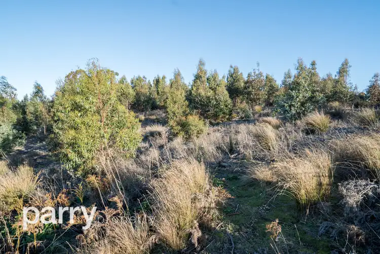 Fifth view of Homely land listing, Lot 4 Rookery Road, Winkleigh TAS 7275